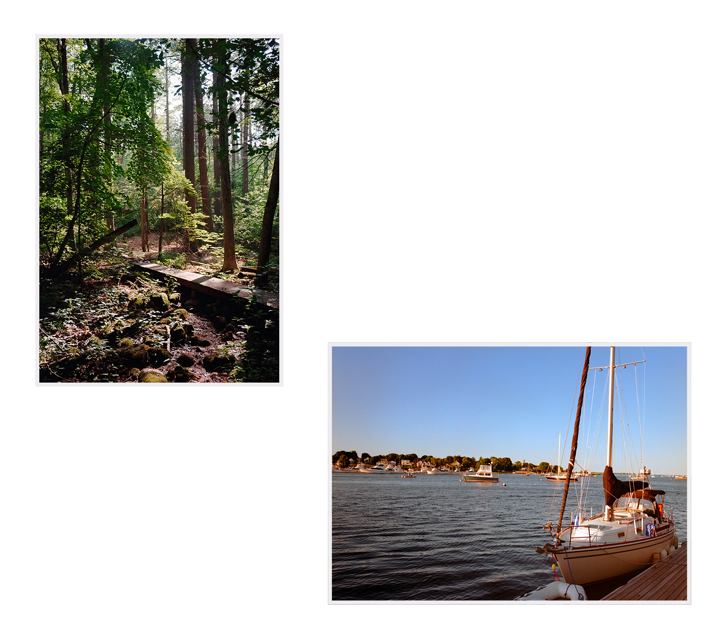 Favorites (Middlesex Fells, On the Coast of Mass)